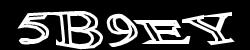 CAPTCHA code image
