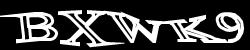 CAPTCHA code image