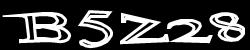CAPTCHA code image
