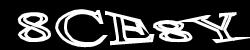 CAPTCHA code image