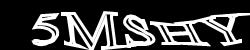 CAPTCHA code image