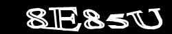 CAPTCHA code image